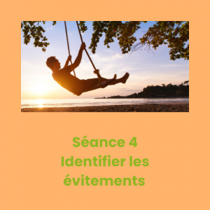 Séance 4 — Identifier les évitements